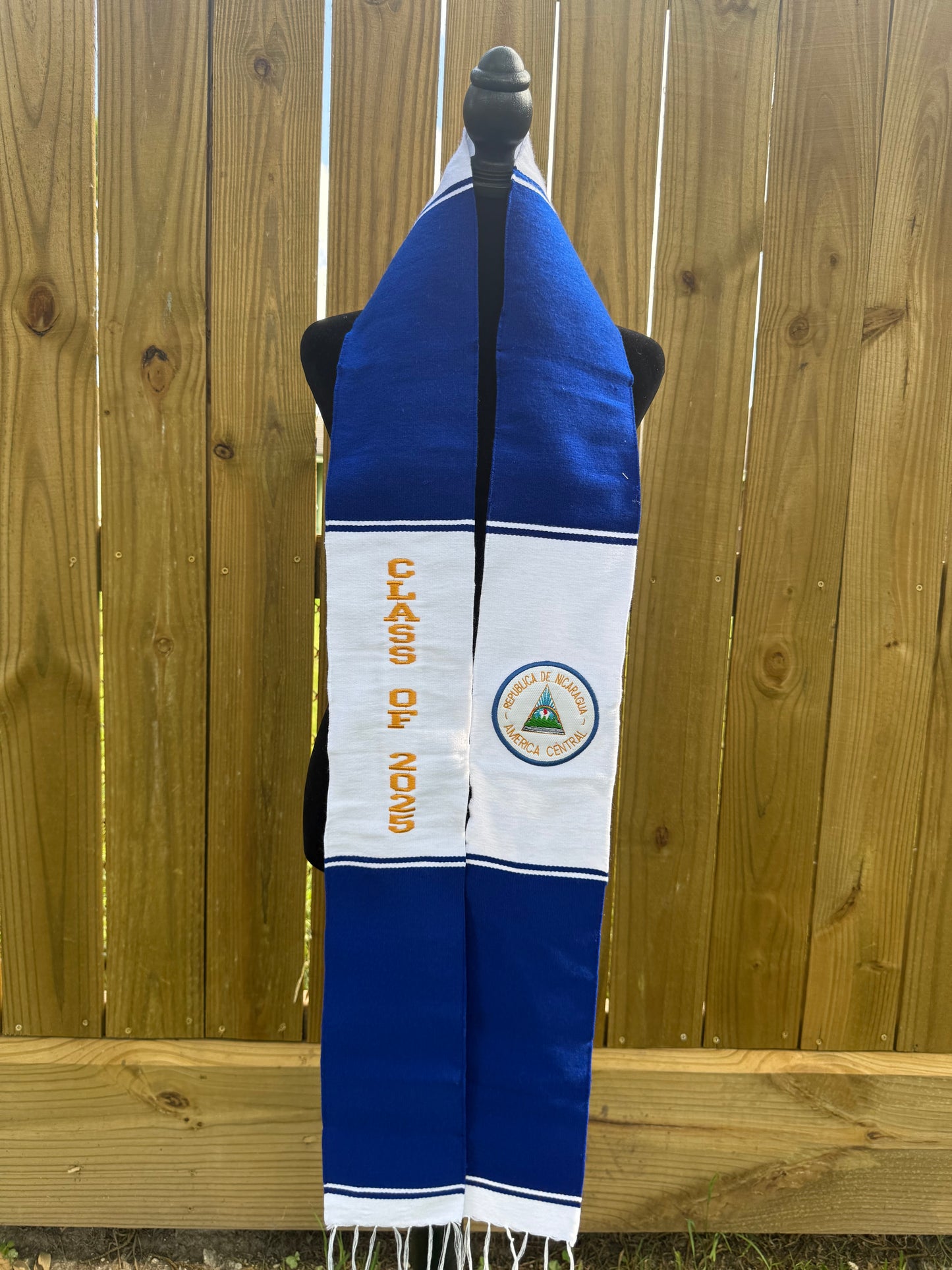 Nicaragua Flag - 2025