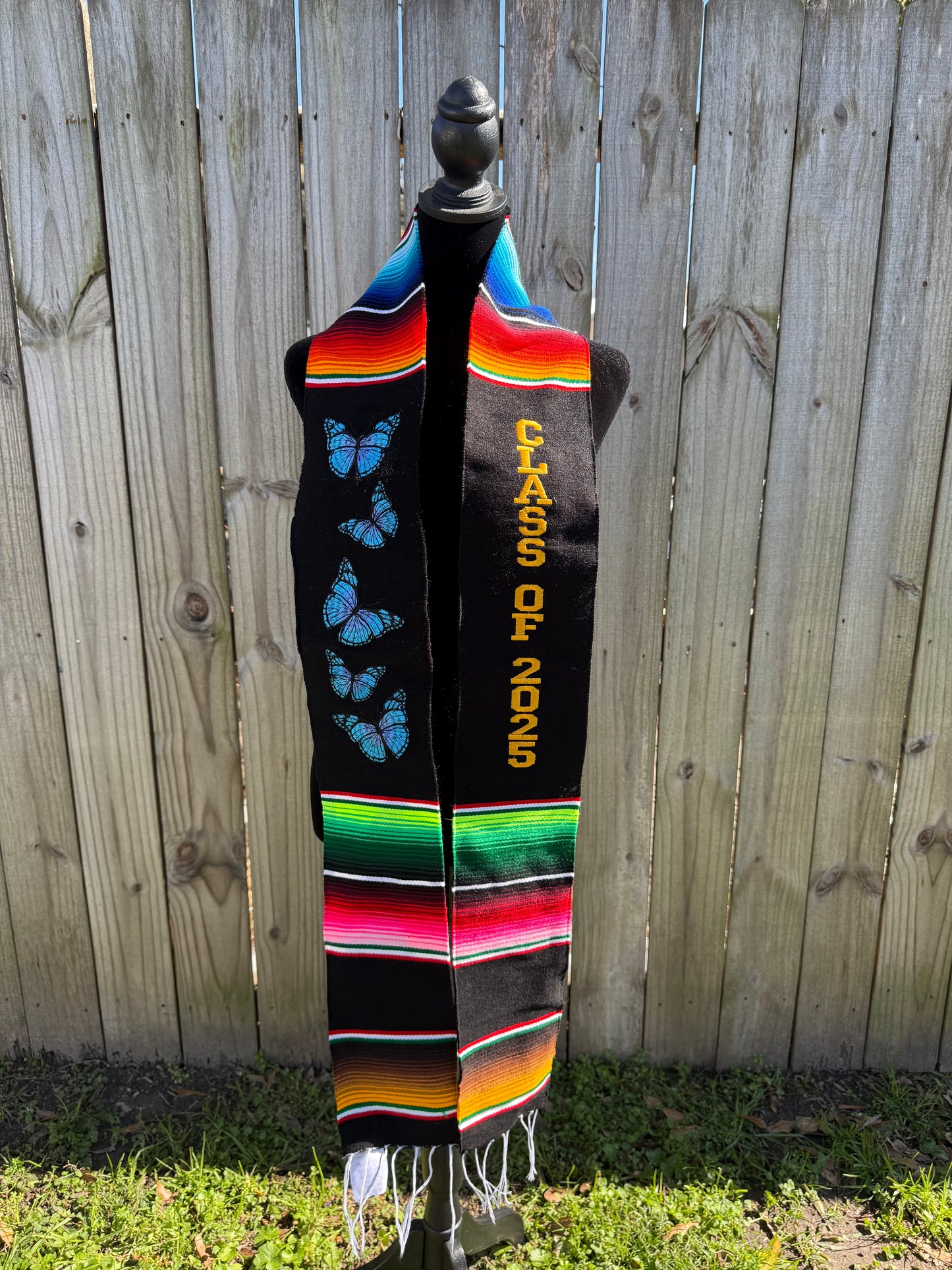 Class of 2025 - Blue Butterflies