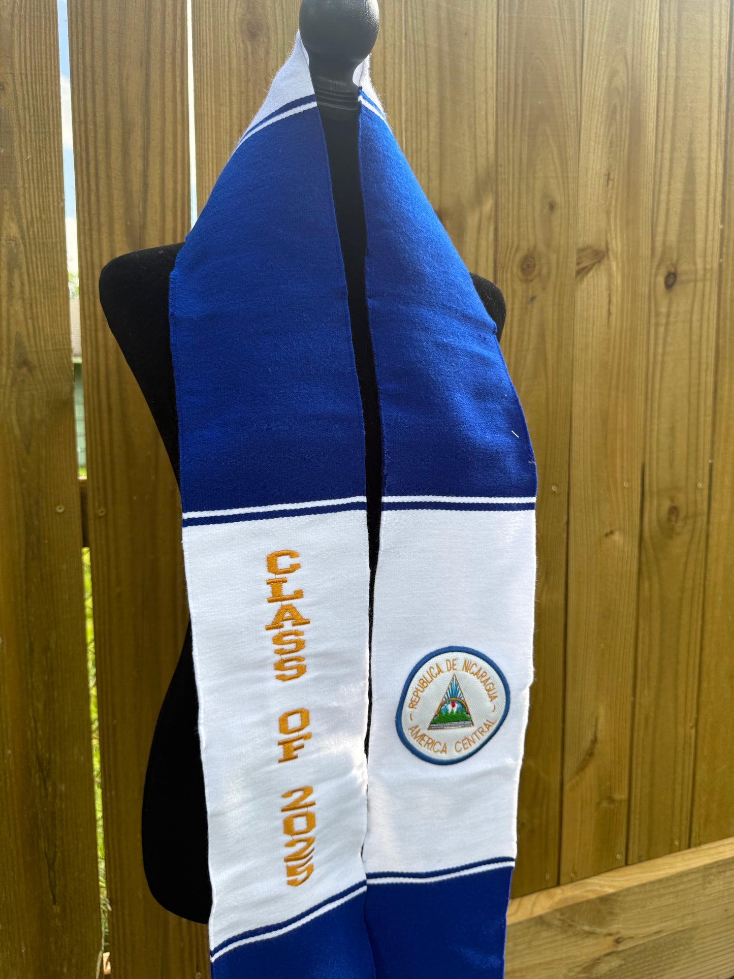 Nicaragua Flag - 2025